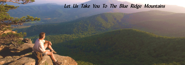 Meadows of Dan Virginia Mountain Real Estate For Sale